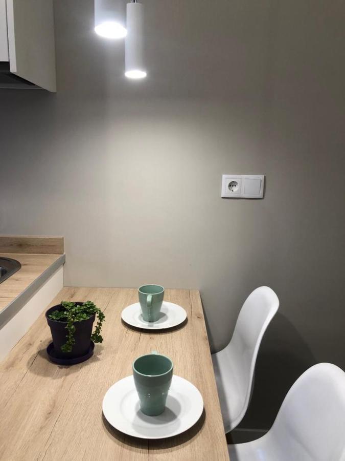 Alojamientos Castellana Jardin 1 Y 2 Parking Y Piscina Gratis!! Burgo エクステリア 写真